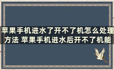 苹果手机进水了开不了机怎么处理方法 苹果手机进水后开不了机能修吗